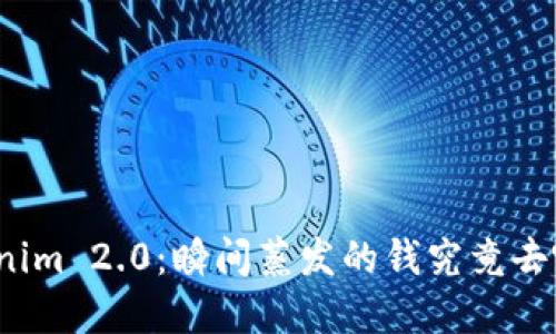 Tokenim 2.0：瞬间蒸发的钱究竟去哪了？