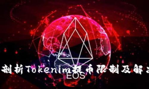  深入剖析Tokenim提币限制及解决方案