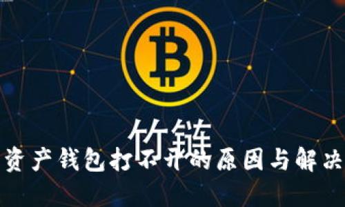 数字资产钱包打不开的原因与解决方案