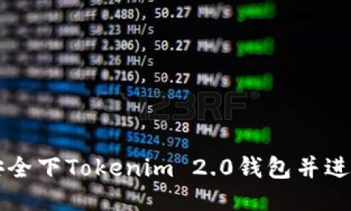 如何安全下Tokenim 2.0钱包并进行使用