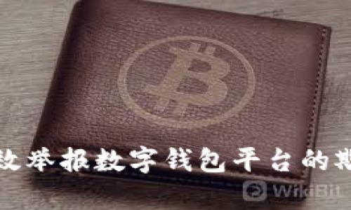 如何有效举报数字钱包平台的欺诈行为