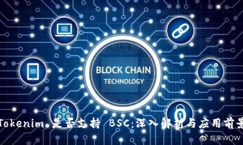 Tokenim 是否支持 BSC：深入解析与应用前景