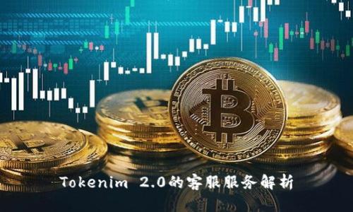 Tokenim 2.0的客服服务解析