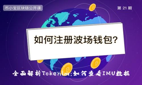 全面解析Tokenim：如何查看IMU数据