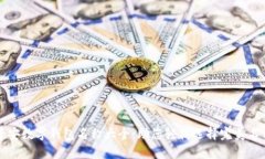 平安数字钱包名称大全：助您轻松选择完美名称