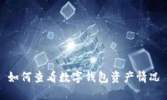 如何查看数字钱包资产情况