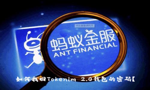 如何找回Tokenim 2.0钱包的密码？