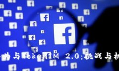  华为与TokenIM 2.0：挑战与