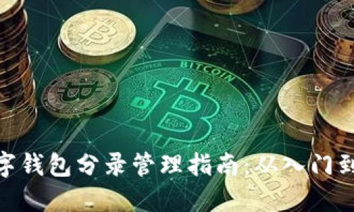 : 数字钱包分录管理指南：从入门到精通
