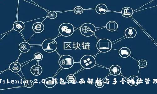 Tokenim 2.0 钱包：全面解析与多个地址管理