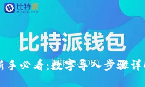 新手必看：数字导入步骤详解